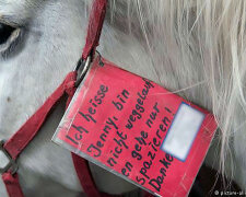 "Jmenuji se Jenny. Neutekla jsem, jen se procházím “