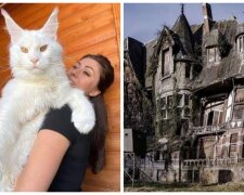 Foto: snímek obrazovky boredpanda