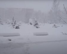 “Česko se pohrouží do zimního počasí”: Meteorologové řekli, jak bude na Vánoce. Je známo, jestli se dočkáme sněžení