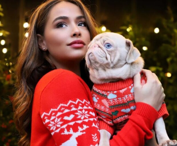 Mops. Foto: snímek obrazovky laykni.com