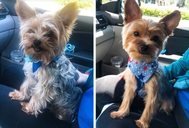 Fotografie: duck.show