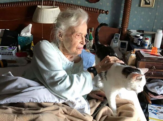 "Potřebuji tě": proč 101letá žena adoptovala nejstarší kočku v útulku. Stará dáma pečuje o svého nového mazlíčka