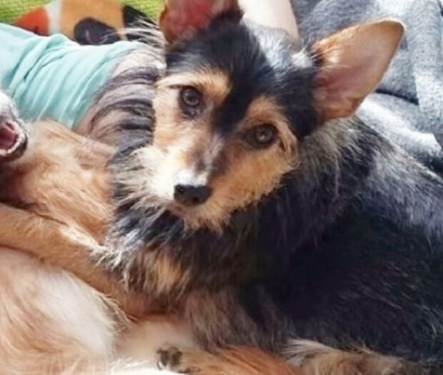 Zdroj fotografie: mur.tv