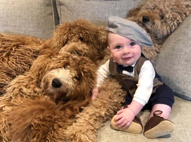 Pes a ditě. Foto: snímek obrazovky storyfox.ru