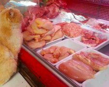 Fotografie: laykni.com