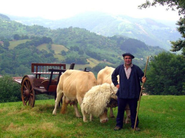 Baskové. Foto: snímek obrazovky facebook.com