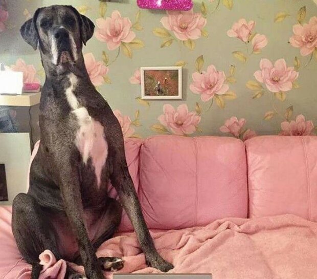 Fotografie: leprechaun.land