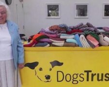 Tato 89letá žena pletla z přístřeší 450 přikrývek a svetrů pro psy