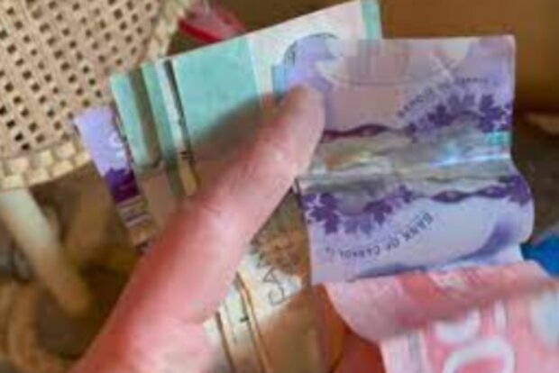 Nálezy. Foto: snímek obrazovky lemurov