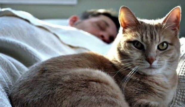 Fotografie: duck.show