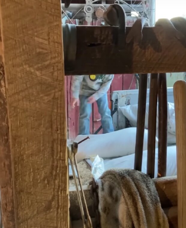 Kluk. Foto: snímek obrazovky YouTube