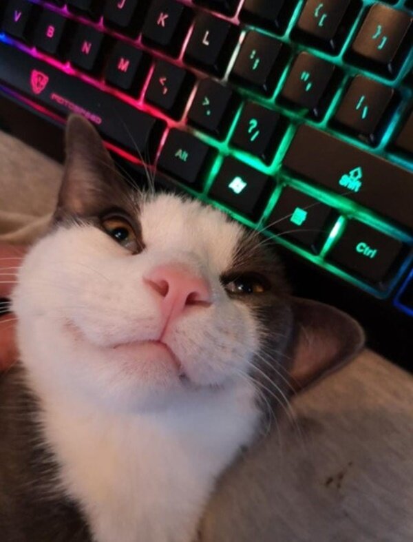 Fotodrafie: laykni.com