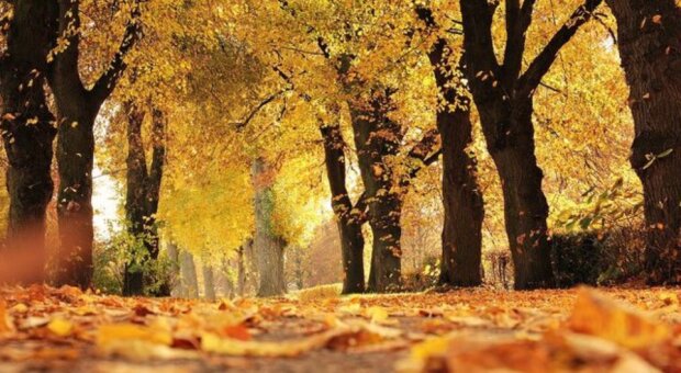 Fotografie: stars24.cz