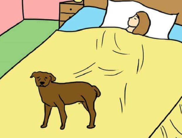 Pes. Foto: snímek obrazovky: superhear.info