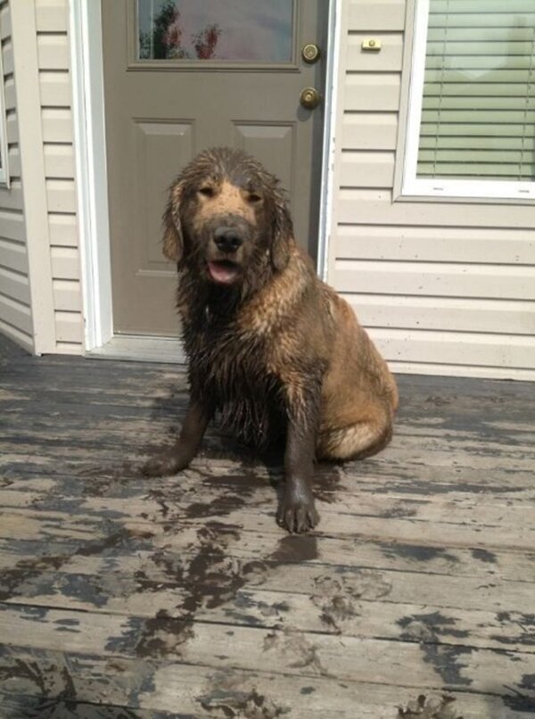 Zdroj fotografie: duck.show