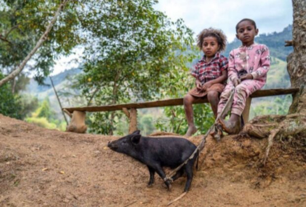 Dětství. Foto: snímek obrazovky laykni.com