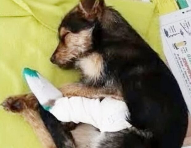 Zdroj fotografie: mur.tv