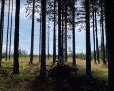 Tropické třicítky: Meteorologové řekli, kdy se vrátí letní počasí a jakých nejvyšších teplot se dočkáme