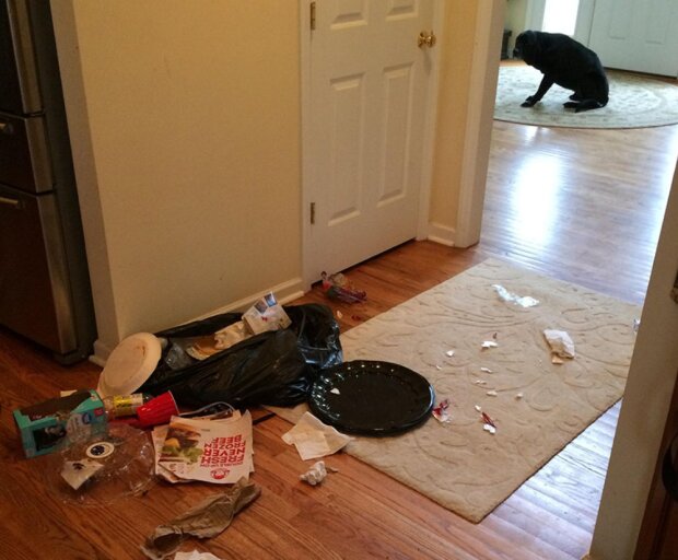 Fotografie: laykni.com