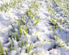 “Počasí se dnes konečně umoudří”: Definitivní návrat k zimnímu počasí. Meteorologové řekli, jak bude