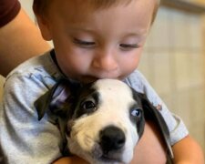 Jak chlapec s onemocněním dostal jako dárek štěně se stejnými příznaky