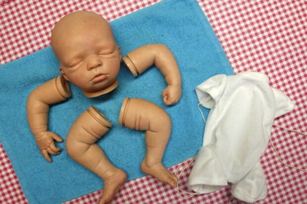 Panenka. Foto: snímek obrazovky lenta.ru