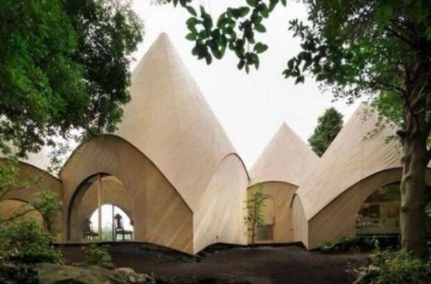 Nejlepší pečovatelský dům. Foto: snímek obrazovky kakao.im