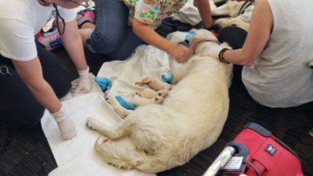 Fotografie: lemurov.net