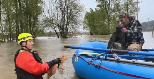 Fotografie: dailymail.co.uk