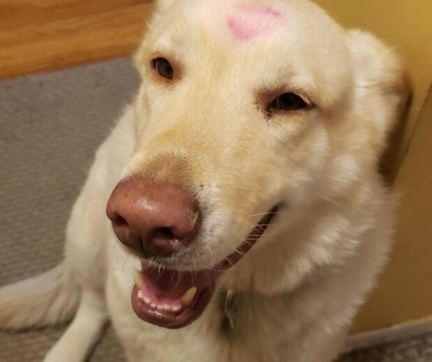 Fotografie: laykni.com