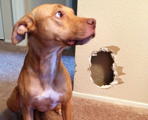 Fotografie: laykni.com