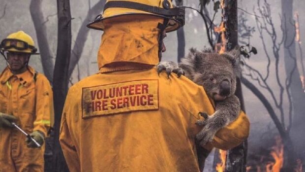 Neuvěřitelně dojemné fotografie o zachránění zvířat v Austrálii