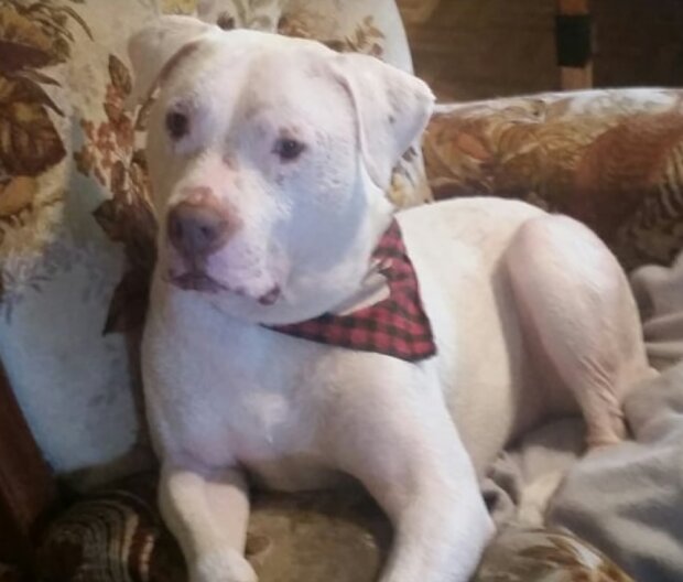 Fotografie: inspiremore.com